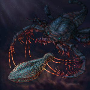 Artistic rendering of the early jawless vertebrate, Astraspis being attacked by the sea-scorpion Megalograptus in dark shallow waters. The pulsating glow of the interacting exoskeletons represents the convergent ability of sensation.